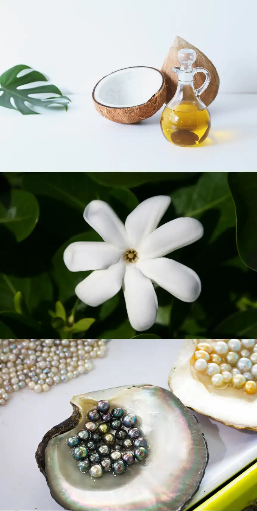 rituel te ava 1 optim rituel te ava 1 optim